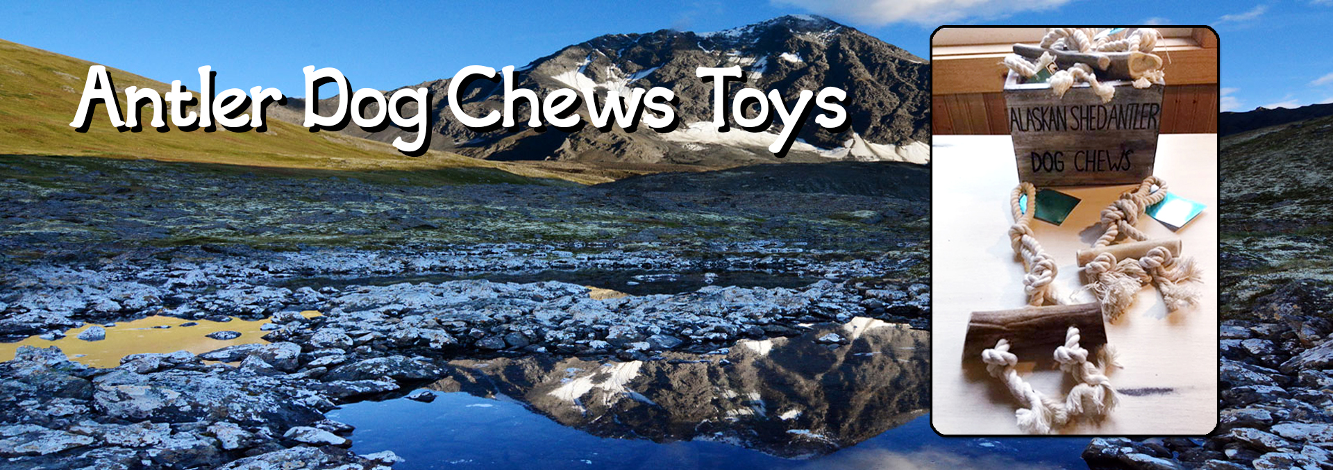 Antler Dog Chew Toys